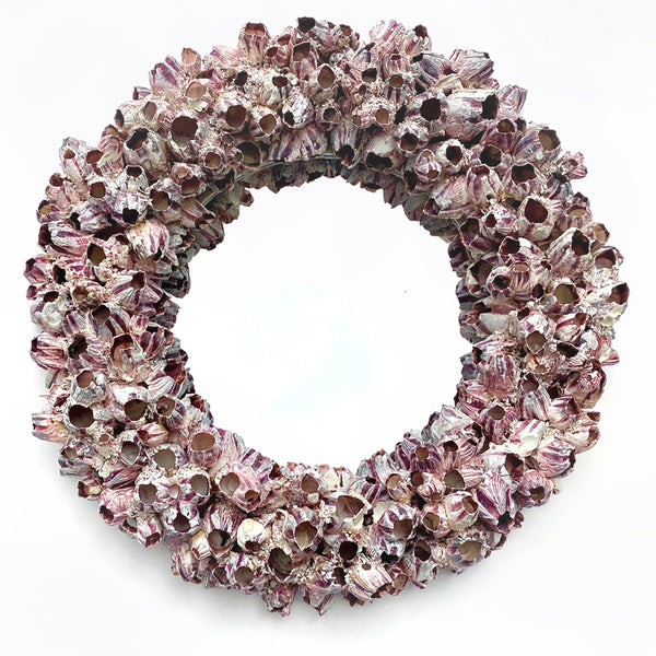 Barnacle Mirror
